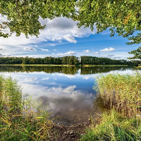 Sonnenblume - Urlaub Mitten In Der Natur Nyaraló Gross Kelle